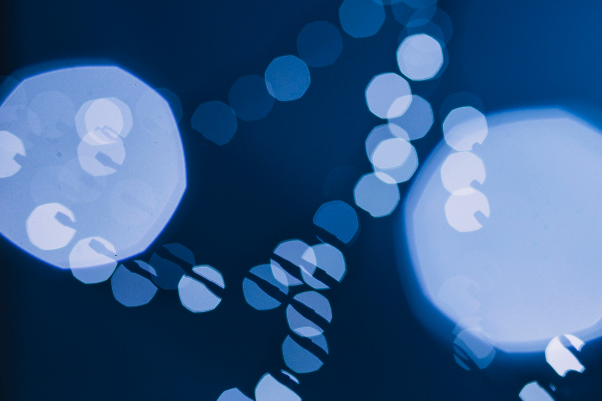 Leeg Bacterie Diagram Leeg Bacterie Diagram